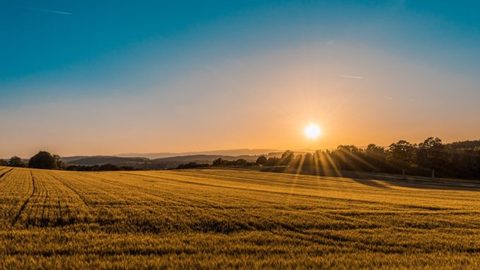 Terreno agricolo edificabile Puglia al tramonto — mercato terreni edificabili Puglia prezzi 2026