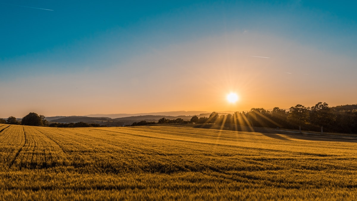Area produttiva in sviluppo ZES Puglia — terreni industriali ZES domanda prezzi investimento 2026